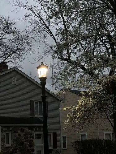 Guiding light in the quiet twilight.